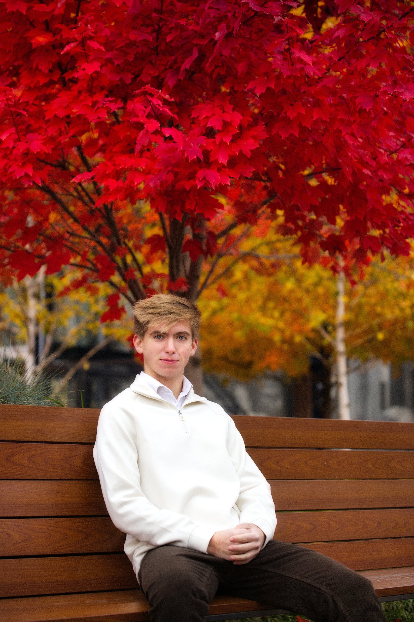 Senior portrait — autumn red maple tree
