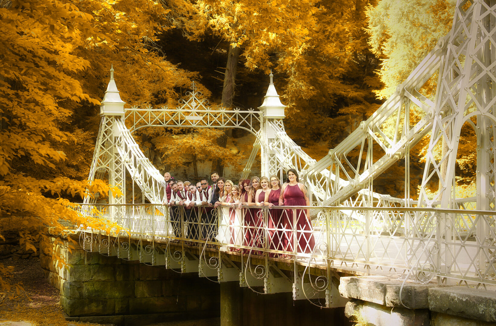 Cinderella Bridge wedding party